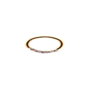 CLICKER SEGMET RING 5 ZIRC BR AÇO