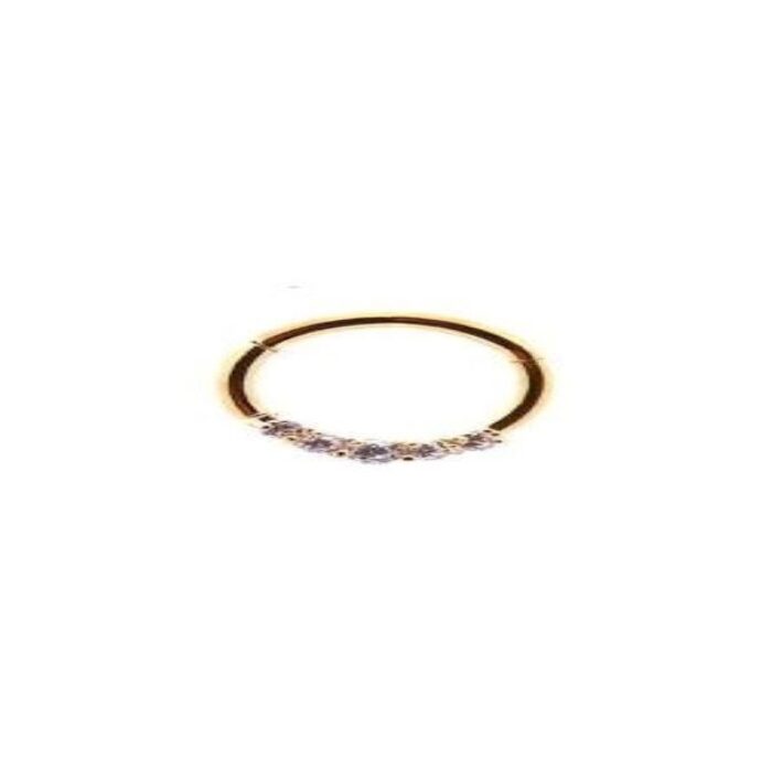 CLICKER SEGMET RING 5 ZIRC BR AÇO