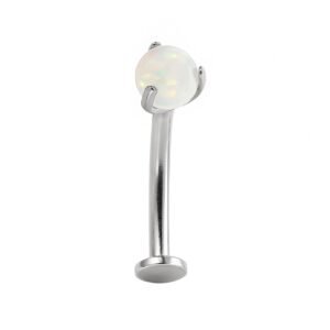 BNN GLOBAL DISCO TIT