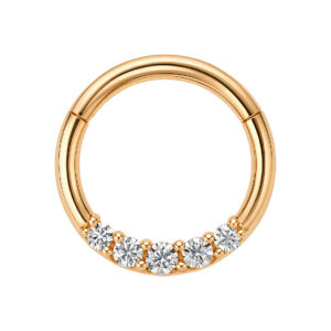 CLICKER SEGMET RING 5 ZIRC BR AÇO