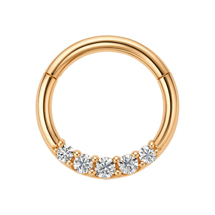 CLICKER SEGMET RING 5 ZIRC BR AÇO
