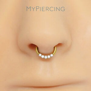 ARGOLA CLICKER 5 ZIRC TIT (ACX5)