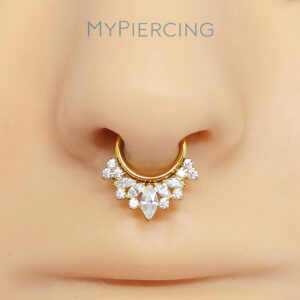 ARGOLA CHIPBOARD CZ TIT (CX7)