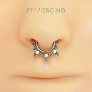 CLICKER DERVILHEART 3 ZIRC TIT (ACX1)