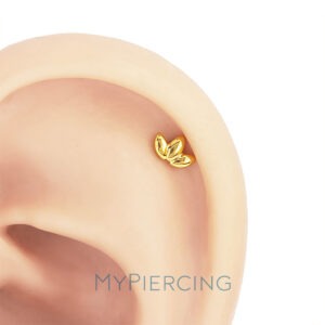 LBT MARQUISE MAIOR LISA TIT (CX30)