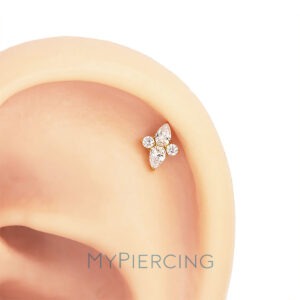 LBT ESTRELA ARTICO TIT (CX28)