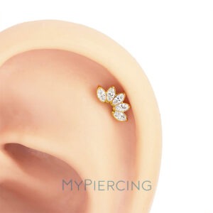 LBT GEM 5 NAVETE ZIR TIT (CX8 PCX5)