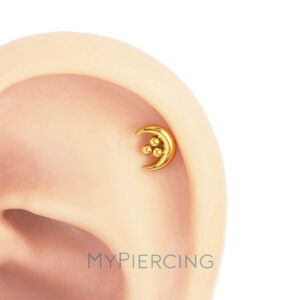 LBT PIN.P LUA CHEIA BEADED TIT (PCX4)