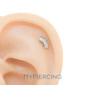 LBT CLUSTER 5 STONE BAG MINI TIT (CX29)