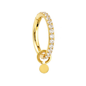 ARGOLA CZ PINGENTE DISCO TIT