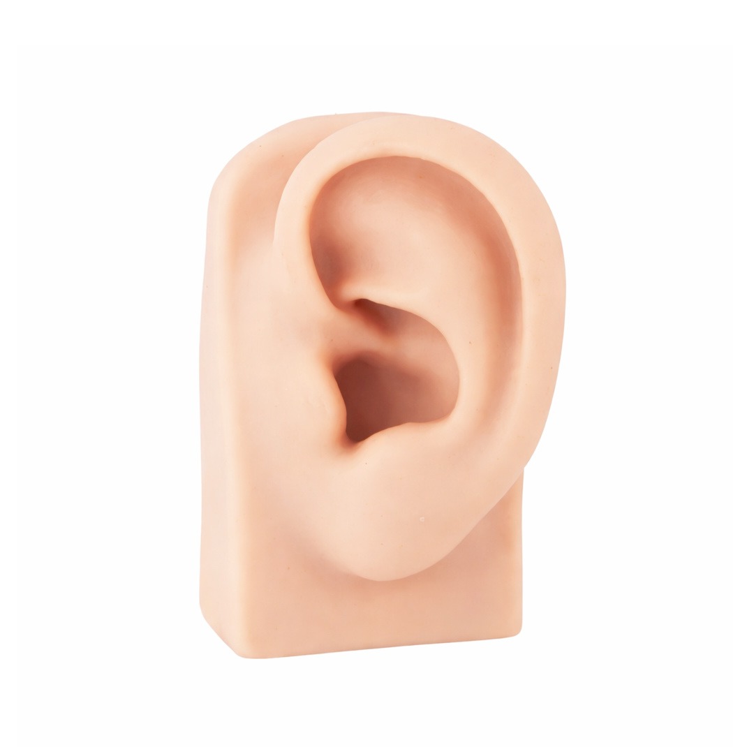 Mostruário de Orelha em Silicone