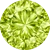 Verde Pistache